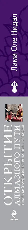Книга Открытие Алмазного пути. Тибетский буддизм встречается с Западом (Оле Нидал) — 3