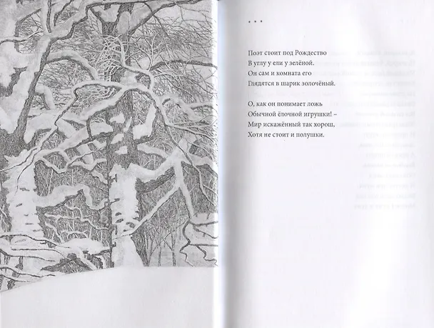Книга Счастье было – сетовать грешно () — 5