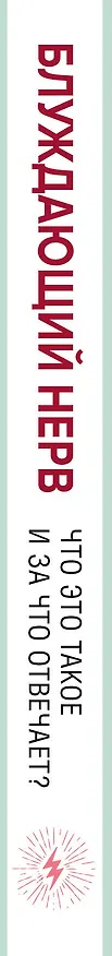 Книга Блуждающий нерв. Что это такое и за что отвечает? (Наваз Хабиб) — 3