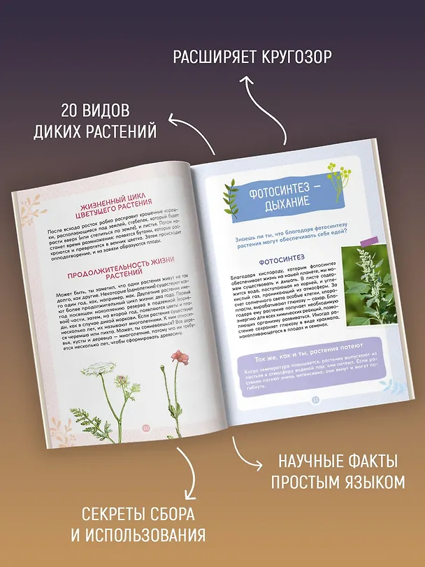 Книга Растения вокруг нас (Роберт Каплан, Франсуа Куплан) — 6