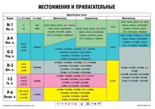 Учебная грамматическая таблица Местоимения и прилагательные (Единственное число/Множественное число) — 3042069 — 1