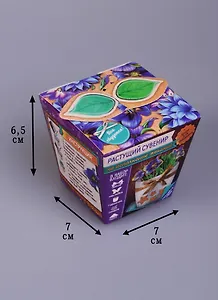 Сувенир растущая травка в горшочке На исполнение желаний (7х5) (1668153)