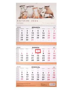 Календарь квартальный 2026г 297*695 "Чувиляева. Котизм" настенный, трёхблочный, спираль