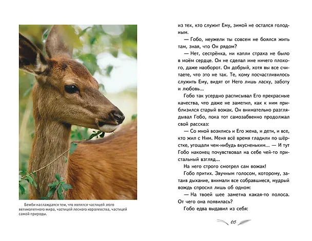 Книга Бемби (с кинообложкой) (Феликс Зальтен) — 8