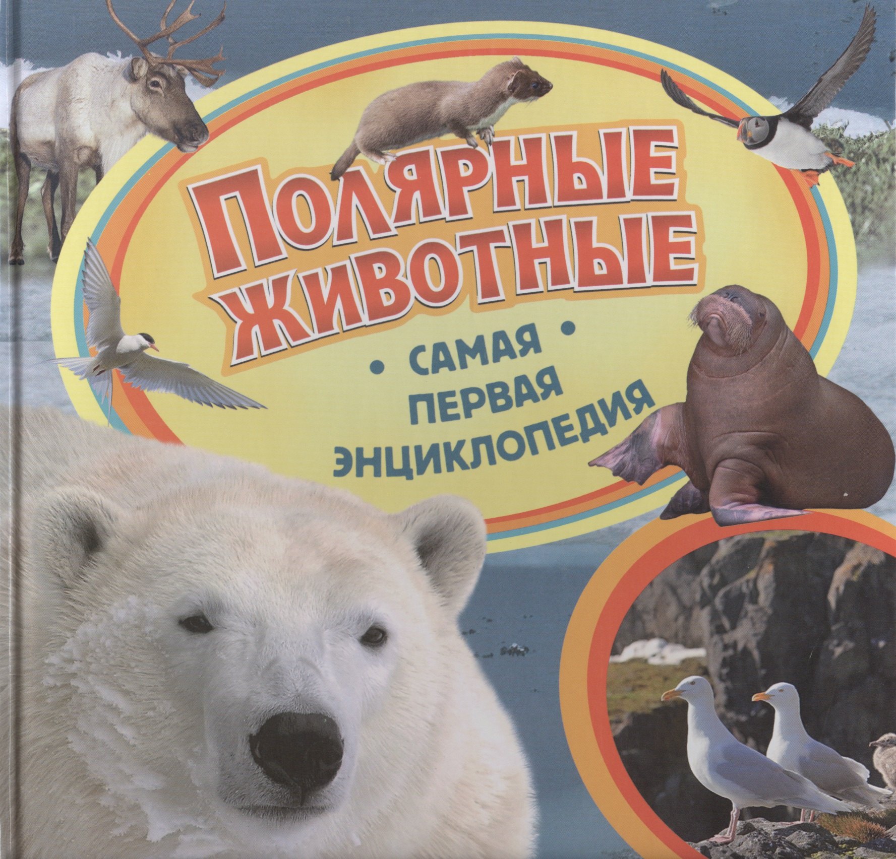 

Полярные животные