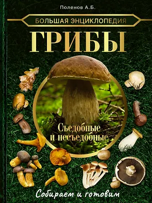 Книга Большая энциклопедия грибника. Съедобные и несъедобные. Собираем и готовим (Андрей Поленов)