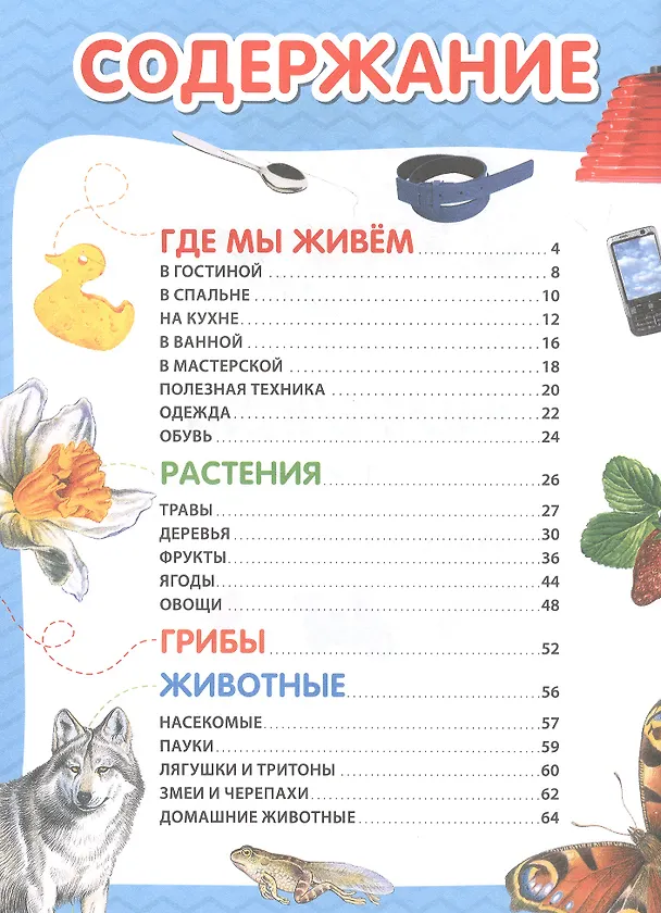 Книга Энциклопедия в картинках для самых маленьких (Лариса Клюшник) — 2