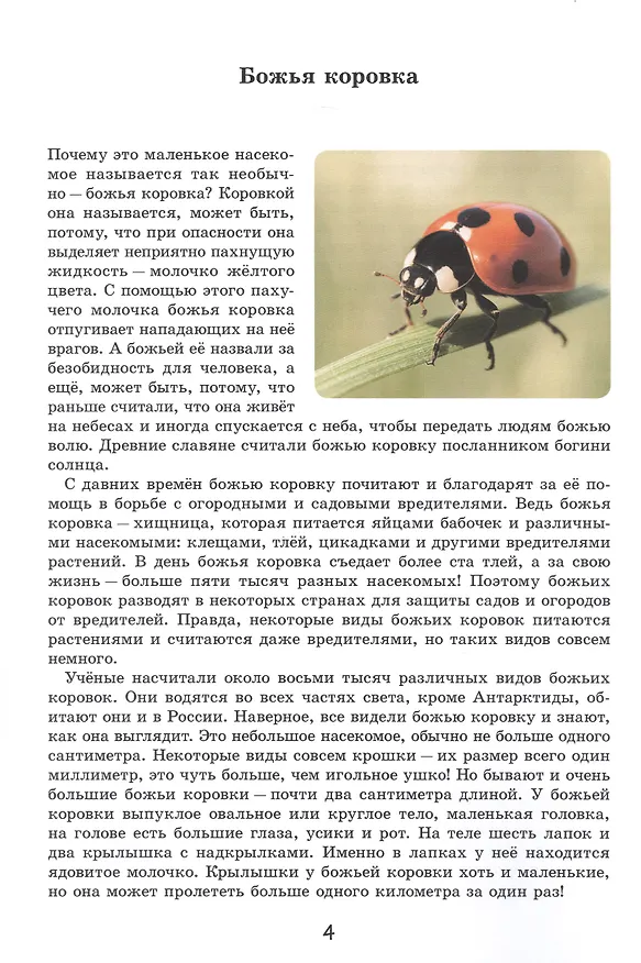 Книга Эти милые букашки (Вадим Жижанов) — 4