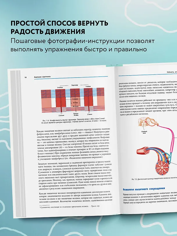 Книга Анатомия стретчинга. Большая иллюстрированная энциклопедия (Н.А. Татаренко, Татьяна Коробкина) — 6