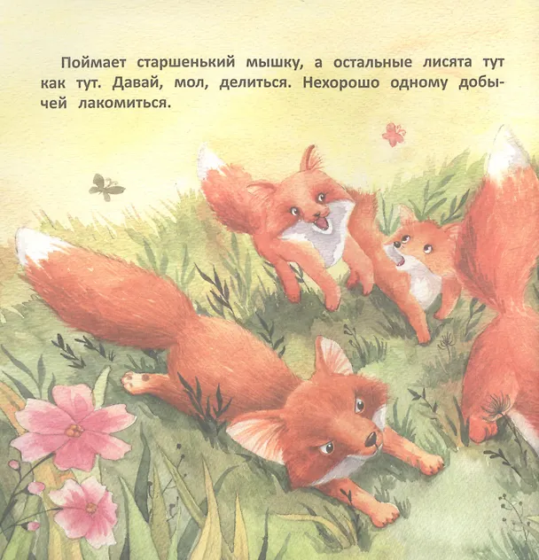 Книга Давайте жить дружно! (Анна Федулова) — 4