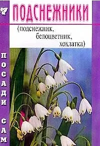 Подснежники (Посади сам) (м)