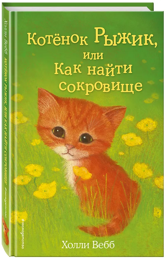Книга Котёнок Рыжик, или Как найти сокровище : повесть (Холли Вебб) — 5
