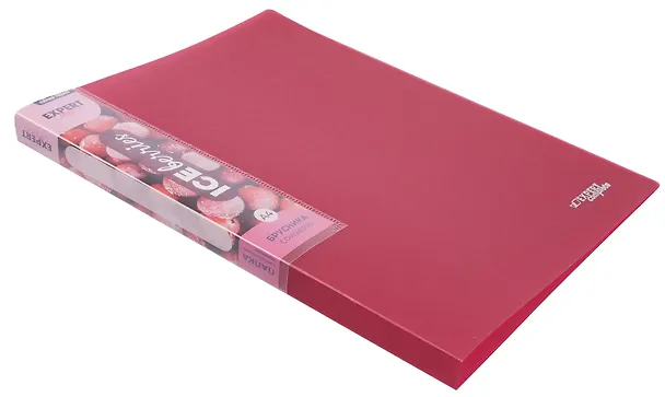 Папка с бок.прижимом А4 "Trend ICEberries", пластик 20мм, ассорти, 3138757 — 4