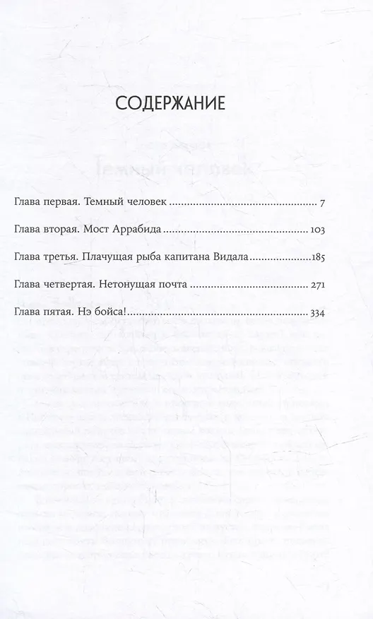 Книга Радин: роман (Лена Элтанг) — 2