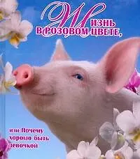 Жизнь в розовом цвете, или Почему хорошо быть девочкой