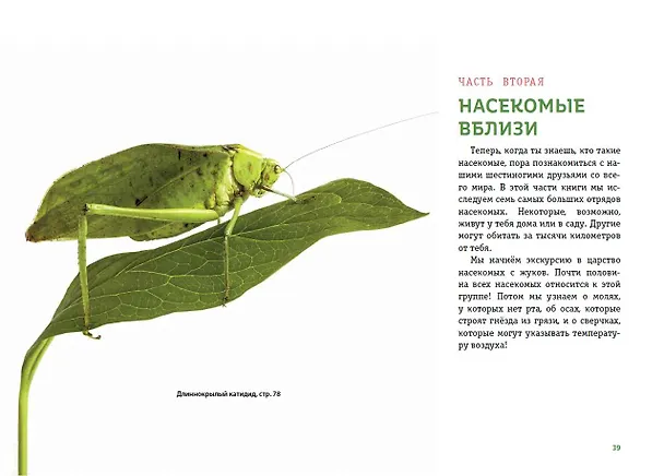 Книга Насекомые. Мир крылатых, многоногих и жужжащих (Шерман Джонстон) — 7