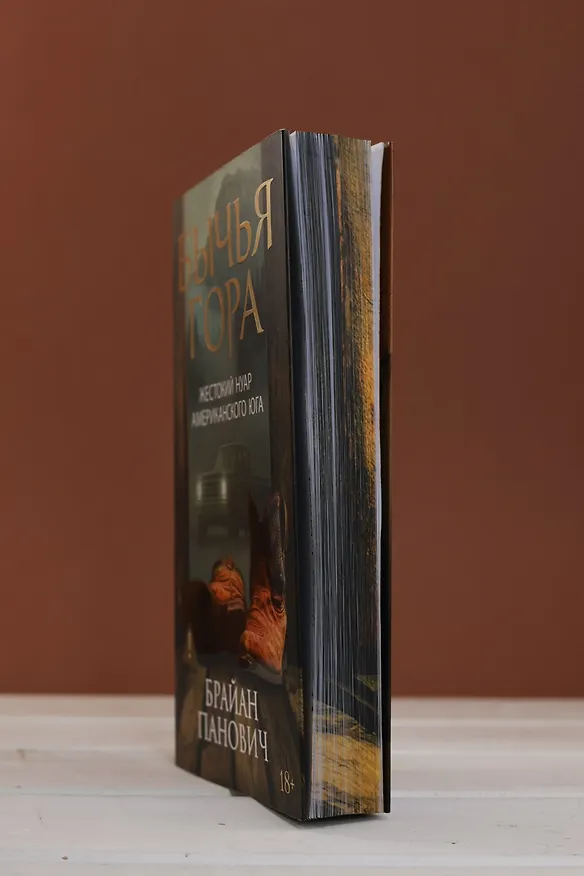 Книга Бычья гора (Брайан Панович) — 13
