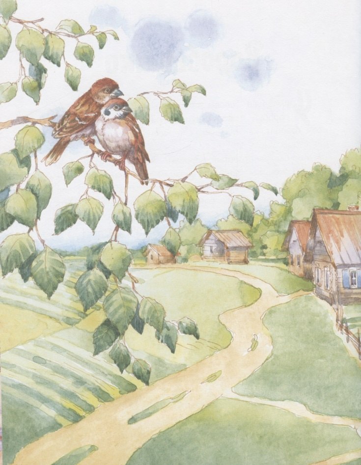 Изображение бумажной книги