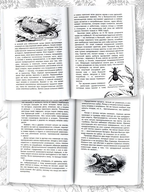 Книга С вечера до утра (Игорь Акимушкин) — 7