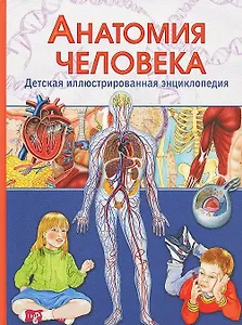 Анатомия человека. Детская иллюстрированная энциклопедия