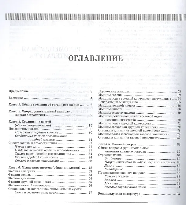 Книга Анатомия собаки. Соматические системы. Учебник для вузов (Н. Бабичев, Е. Дурткаринов) — 2