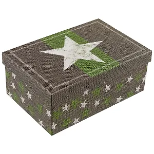 Подарочная коробка «Звезда на холсте», 21 х 14 см