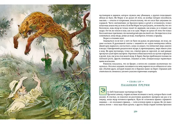 Книга Всадник без головы (Томас Рид) — 14