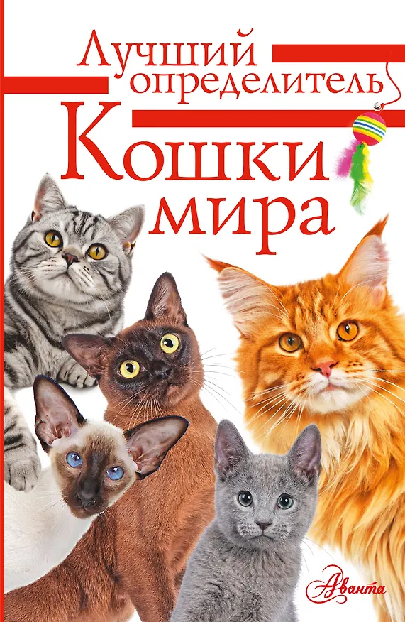 Книга Литература с видео-уроками (Анна Михальская) — 1
