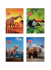 Блокнот А6 80л кл. "Удивительная планета" карт.обл., гребень, выб.лак, ассорти, ПЗБФ