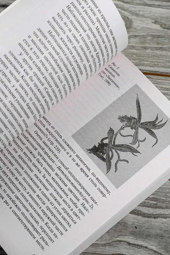 Книга Этюды о природе человека (Илья Мечников) — 11