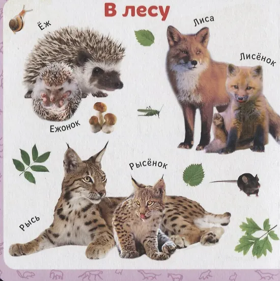Книга Мамы и детки () — 2
