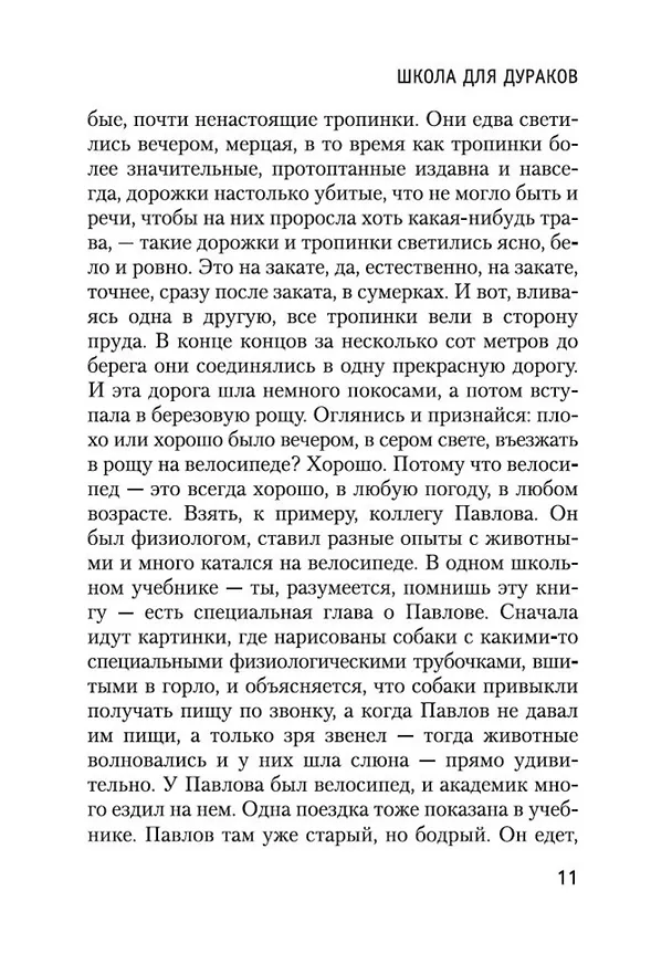 Книга Школа для дураков (Саша Соколов) — 10