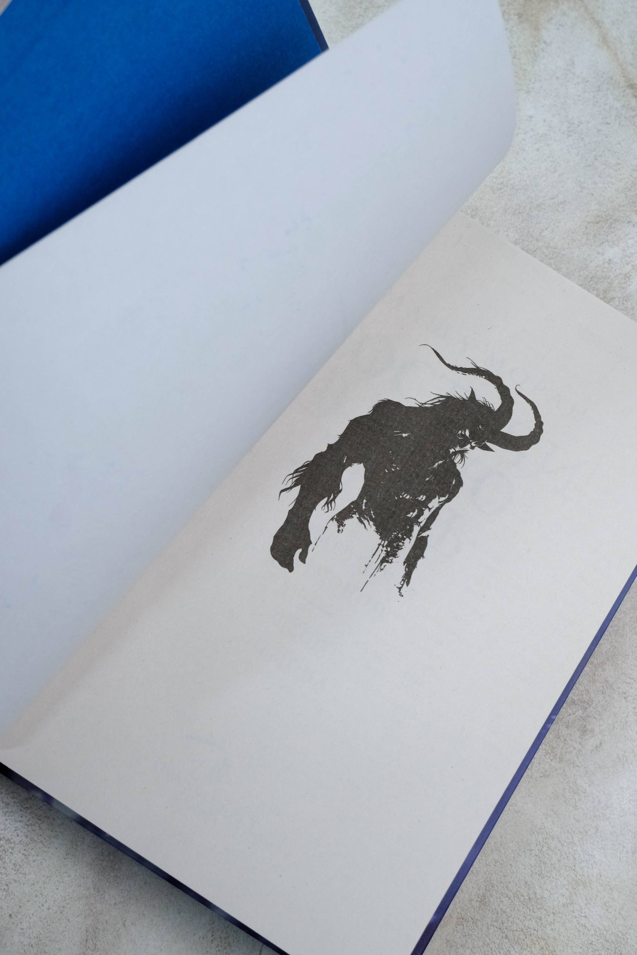 Изображение бумажной книги