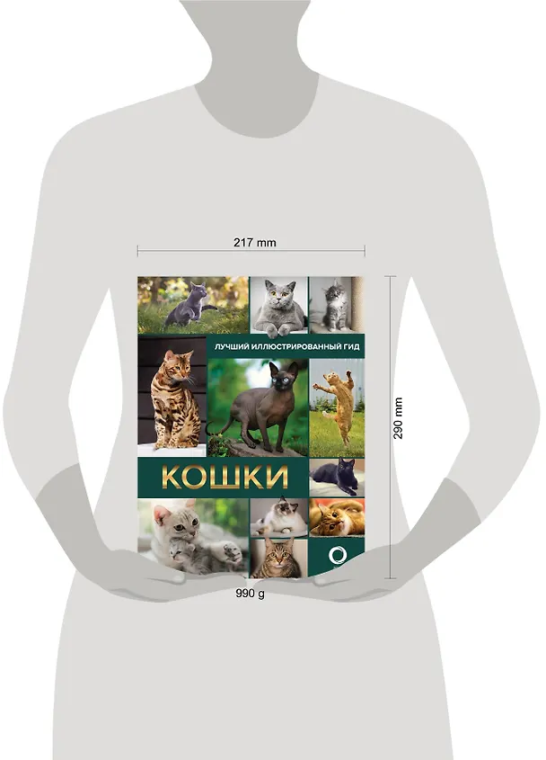 Книга Кошки. Лучший иллюстрированный гид () — 4