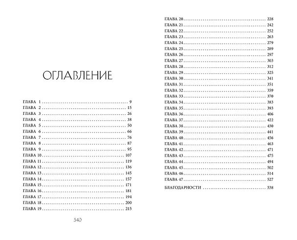 Книга Дом некромантов (#2) (Ники Пау Прето) — 13