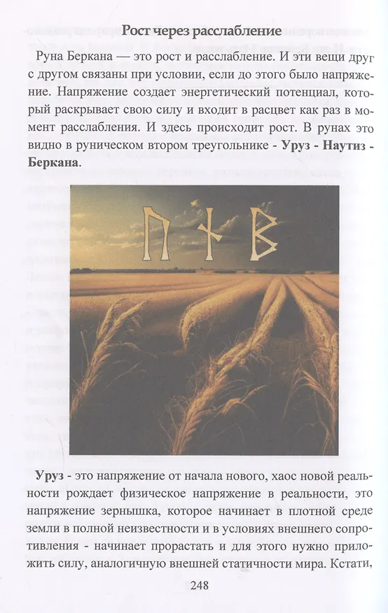 Книга Руническое мастерство. Динамическое проживание рун (Юрий Исламов) — 9