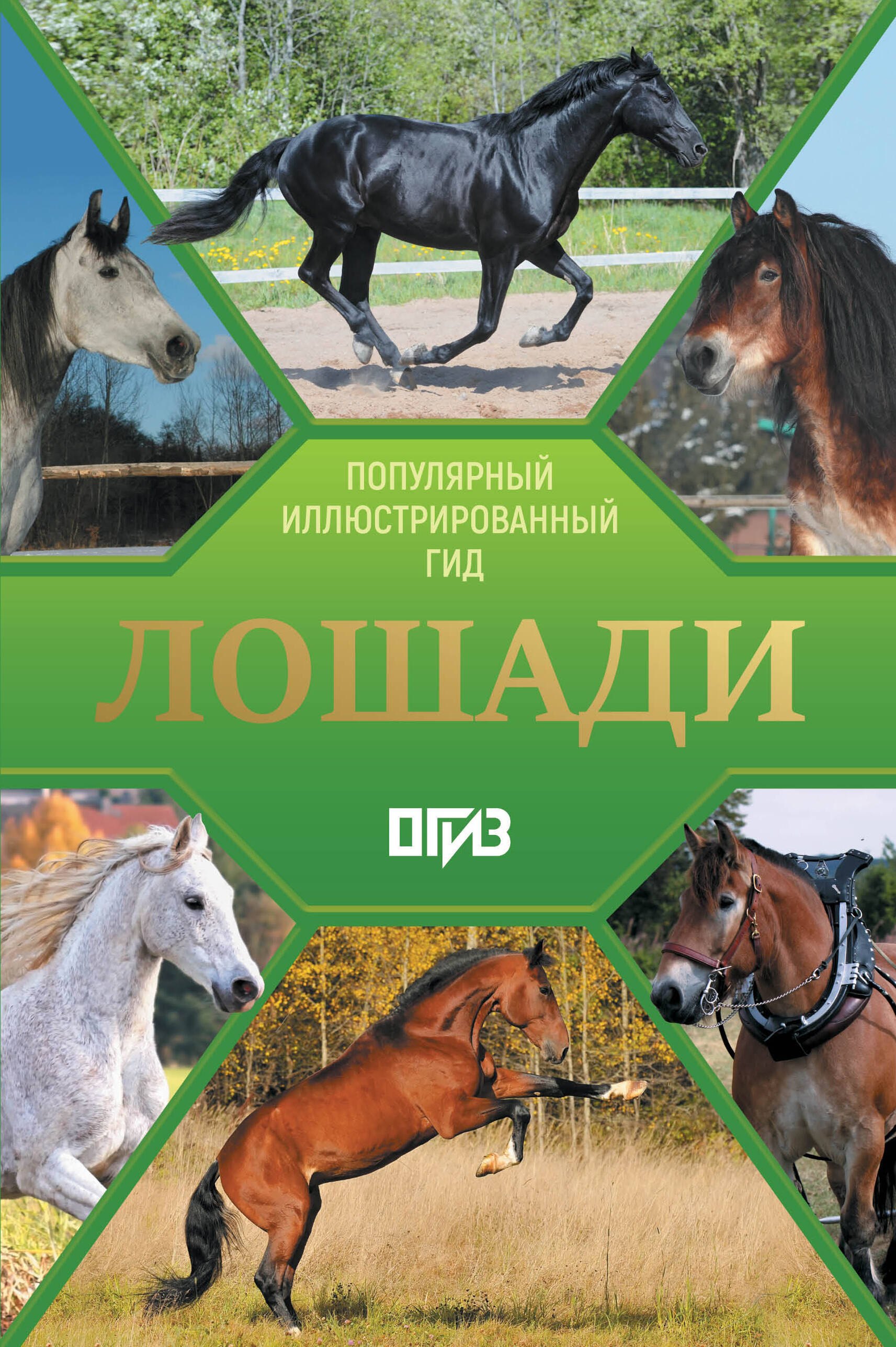 

Лошади. Иллюстрированный гид