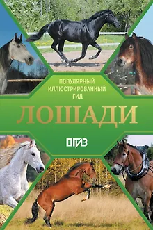 Лошади. Иллюстрированный гид