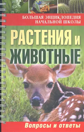 Большая энциклопедия начальной школы. Растения и животные: вопросы и ответы — 2332193 — 1