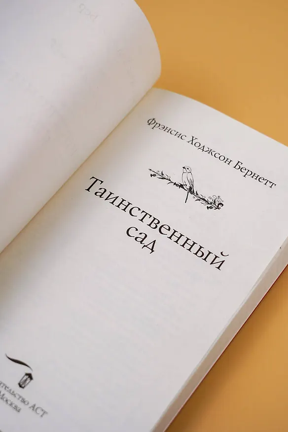 Книга Таинственный сад (Фрэнсис Элиза Ходжсон Бёрнетт) — 12
