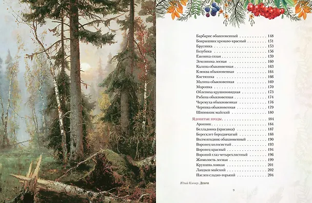 Книга Русский лес. Грибы и ягоды () — 5