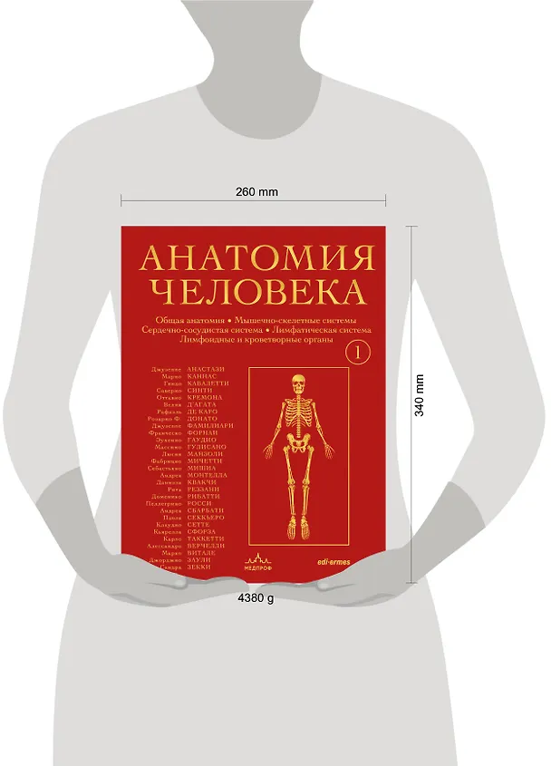 Книга Анатомия человека. Эксклюзивное издание с 50-летней историей. Том 1 (Джузеппе Анастази, Марио Каннас, Гвидо Кавалетти) — 24