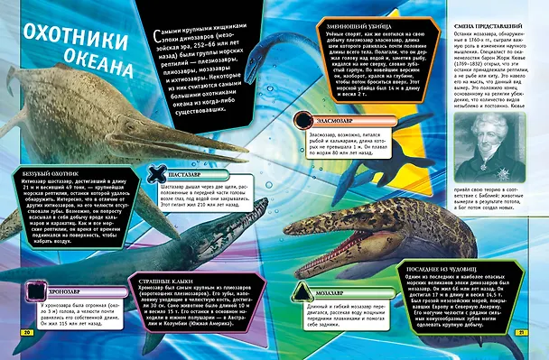 Книга Животные. Книга юного эрудита (Стив Паркер, Джон Фарндон, Камилла де ла Бедуайер) — 7