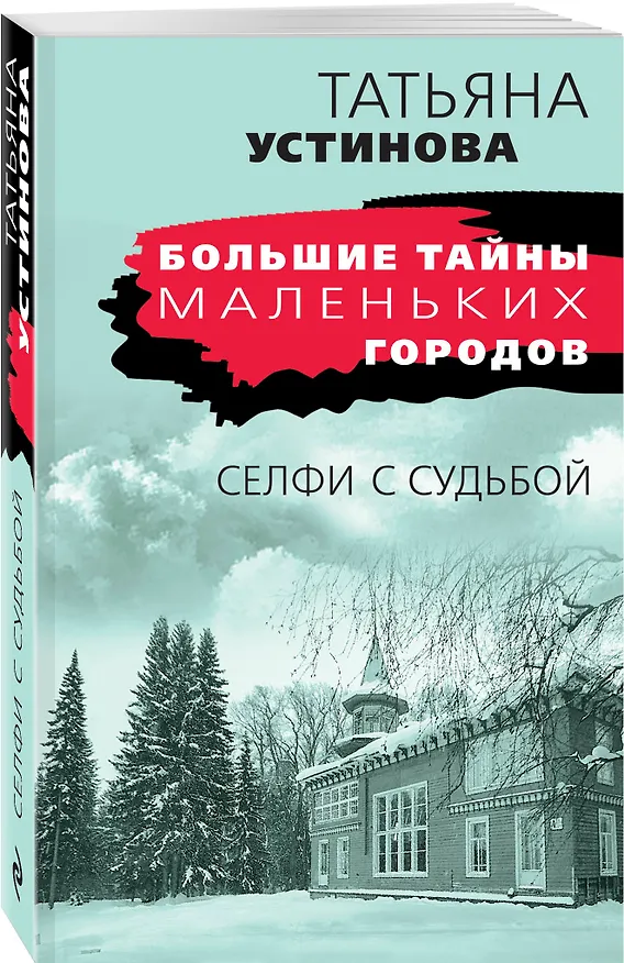 Книга Селфи с судьбой (Татьяна Устинова) — 4