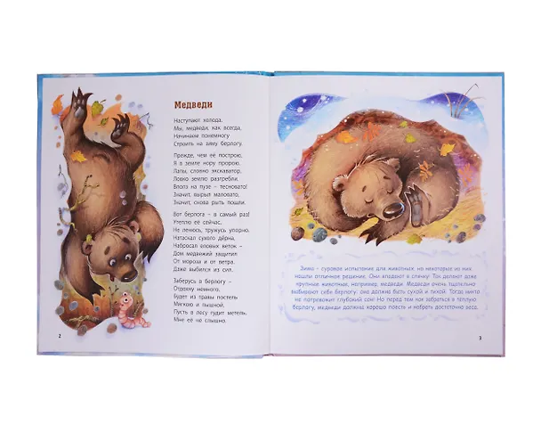 Книга Как же хочется поспать! (Александра Бодрова) — 2