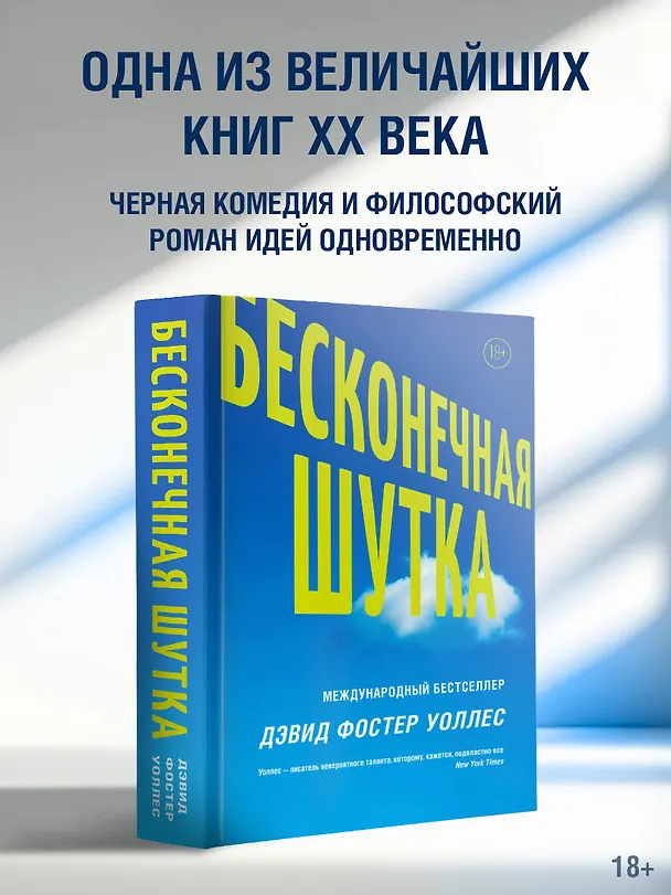 Книга Бесконечная шутка (Дэвид Уоллес) — 5
