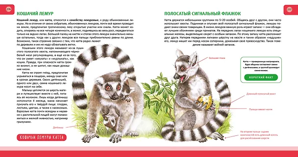 Книга Животные. Полная энциклопедия (Юлия Школьник) — 16