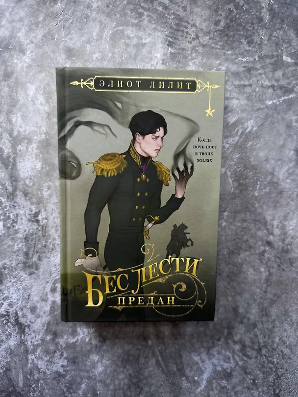Книга Бес лести предан (Элиот Лилит) — 11