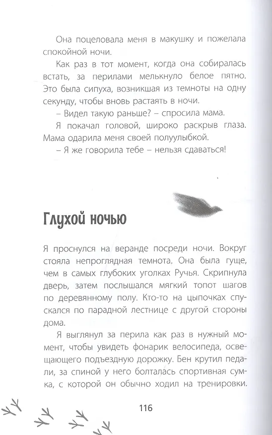 Книга Птицы поют даже в хмурые дни (Питер Карнавас) — 4