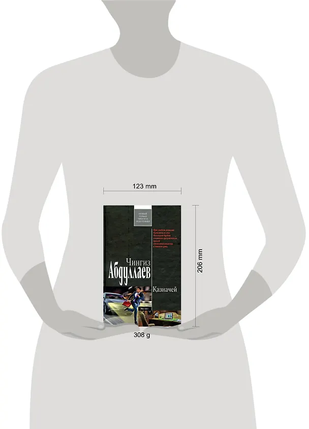 Книга Казначей: роман (Чингиз Абдуллаев) — 2